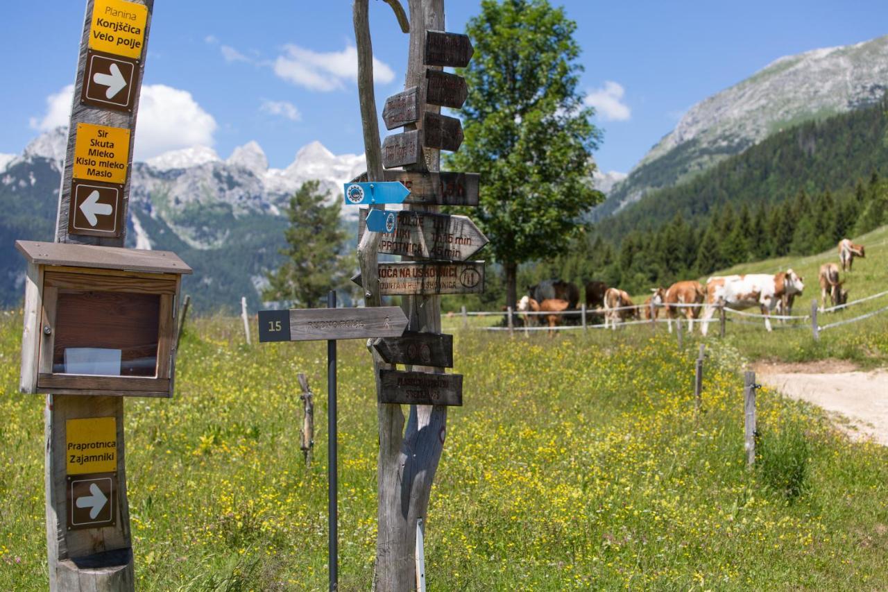 Mountain House Minka Villa Srednja Vas v Bohinju Kültér fotó